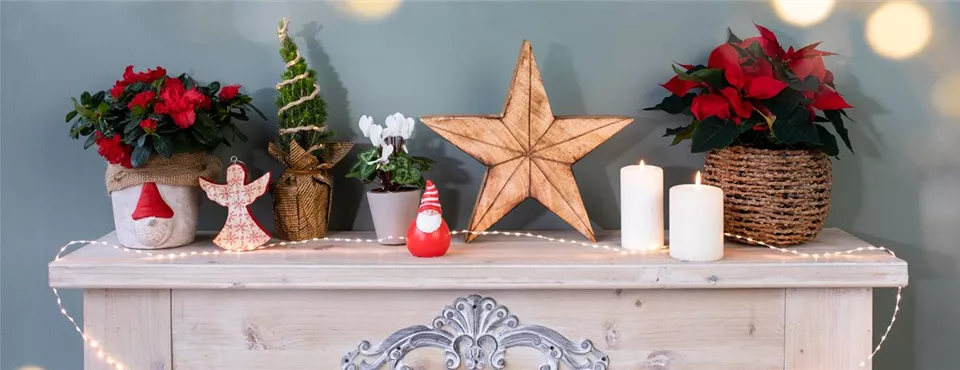 Weihnachtsdeko - Wohnzimmer Ambiente